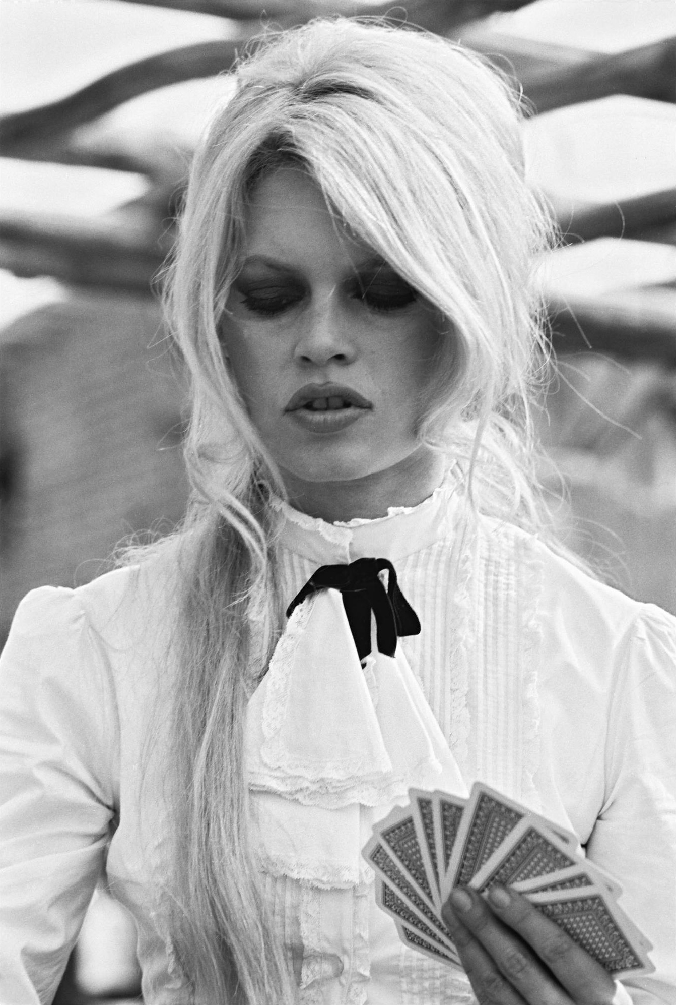 Brigette Bardot-Annex